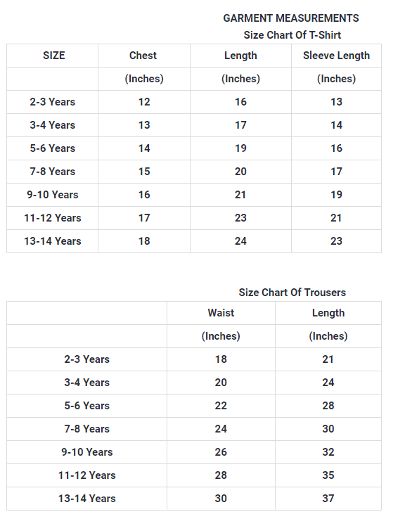 Jupiter star dust kids premium track suit / twin set